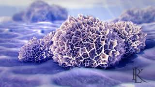 Animation Explaining Functionalized Tricalcium Phosphate Technology