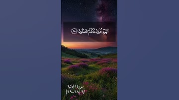 من سورة الجاثية _ القارئ محمد أيوب