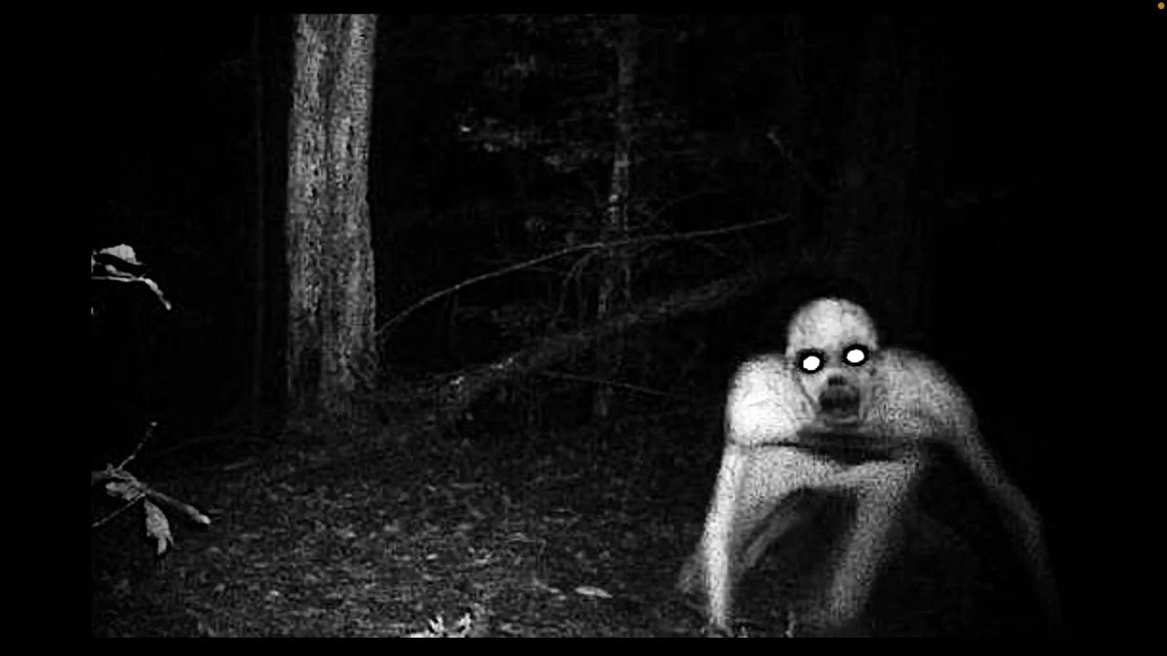 Ырка существует или нет. Ырка существует или нет. Ырка существо славянской мифологии. Славянская мифология ырка. Славянская мифология ырка легенда.