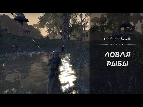 Видео: The Elder Scrolls Online: Ловля рыбы