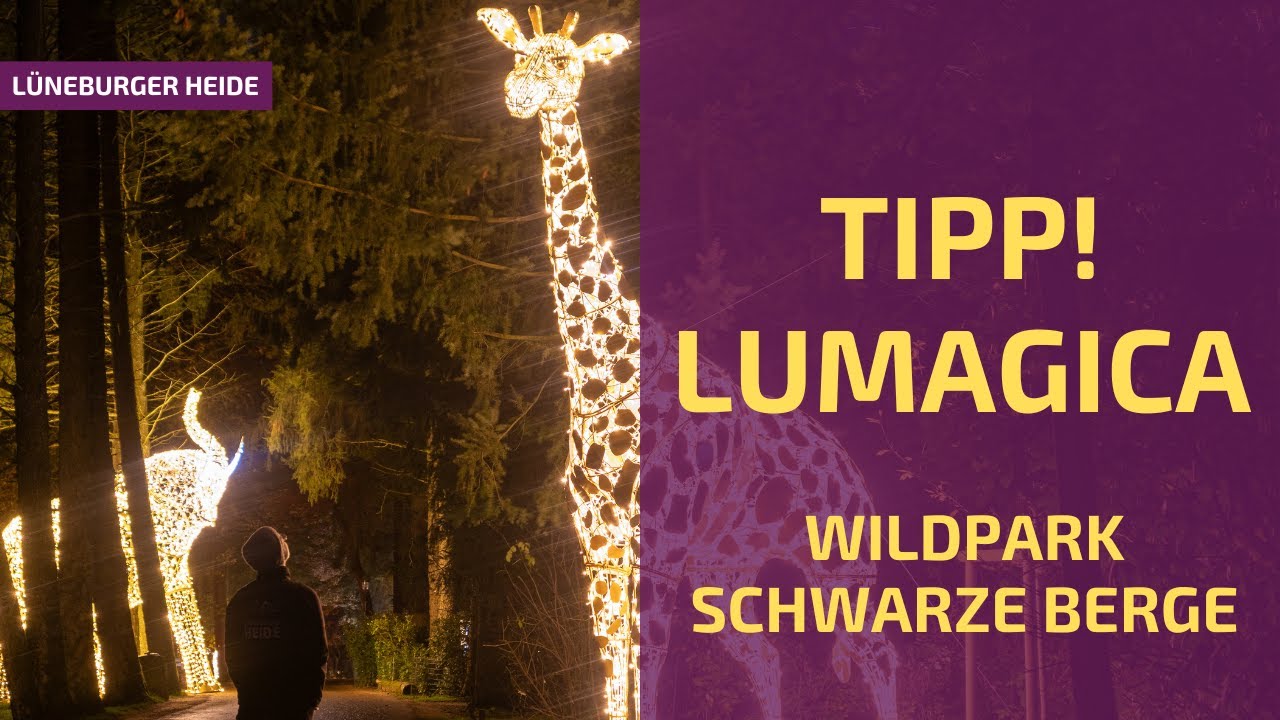 Ausflugs-Tipp: Lumagica im Wildpark Schwarze Berge