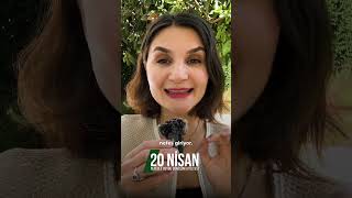 Hayat Enerjini Neyle Besliyorsun?