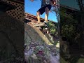 2 ft drop!!!!! #onewheel #onewheelnation #viral #youtubeshorts #youtube #shorts