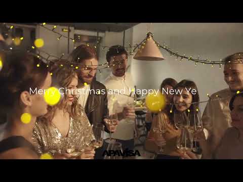 Farewell 2024 A Year Of Resilience And New Beginnings Merry Christmas From Apavisa 