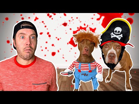 Video: Kto vyhral náš Pit Bull Halloween kostým súťaž? Zistite TERAZ!