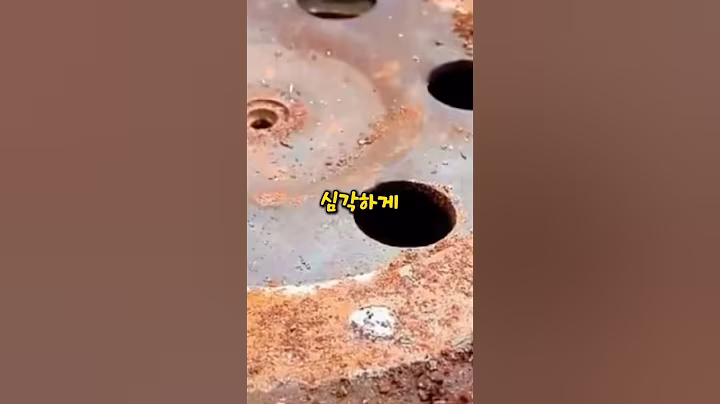 한국같이 작은 나라에 강력한 이걸 보유하는 걸 반대하는 중국인과 외국인