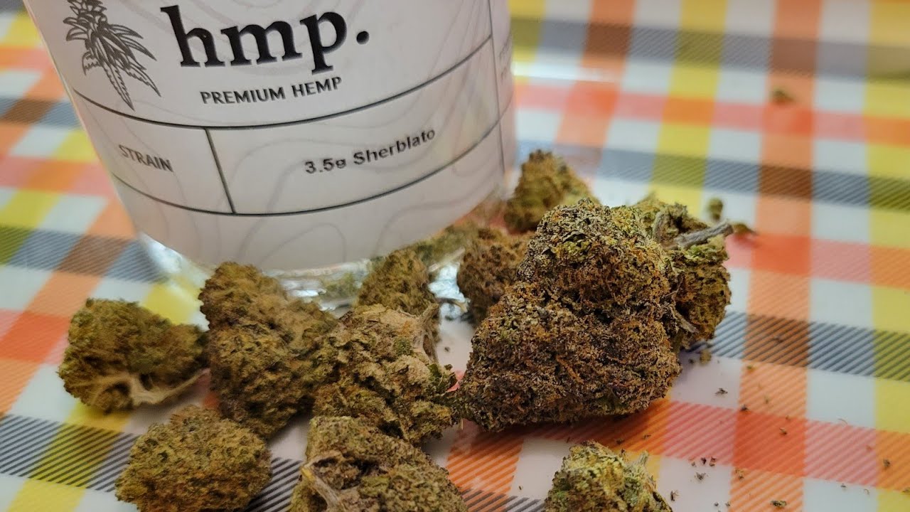 hmp THCa Sherblato Strain Review! 💯🔥🍦🍊🥜🏝⛽️