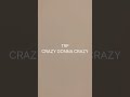 TRF CRAZY GONNA CRAZY 歌ってみた
