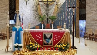 Holy Trinity Sunday - 11am Mass - St. William Parish