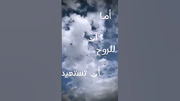 ألسنا أحق بقلب سعيد محمد كندو 