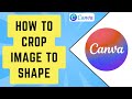 How to Crop Image to Shape in Canva (Updated Tutorial)