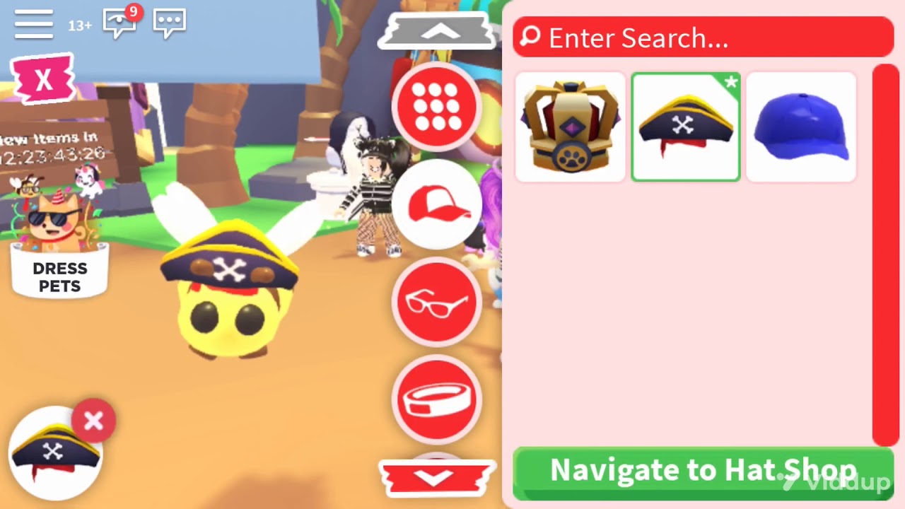 *NEW UPDATE* adopt me new pet accessories update YouTube