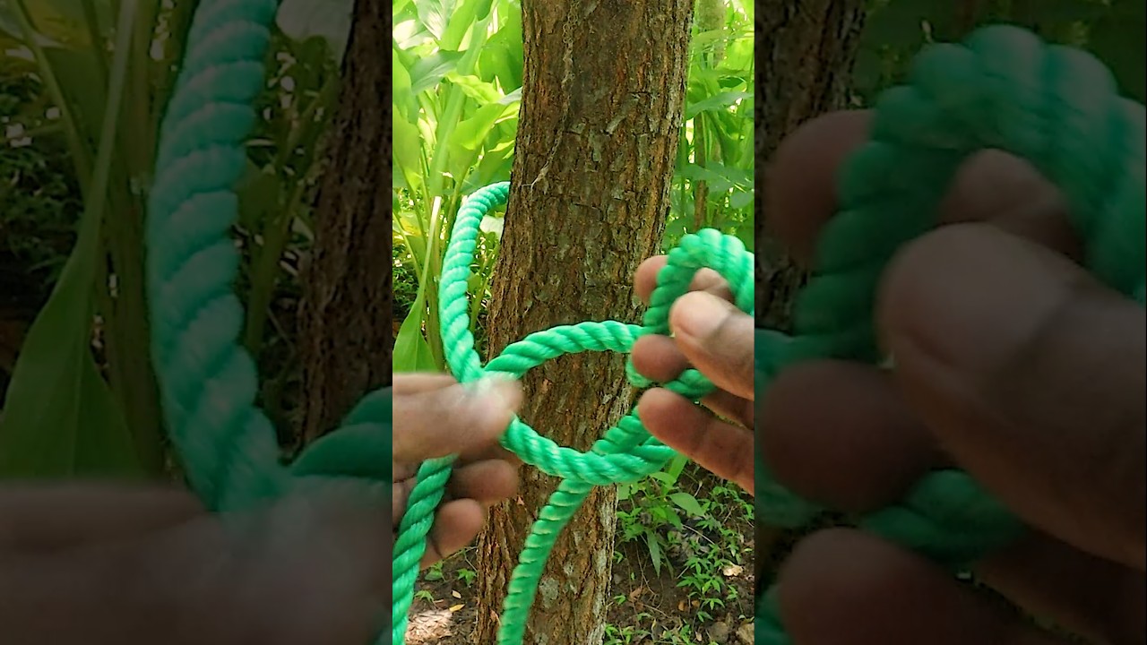 How to Tie a Rope Knot for trees 