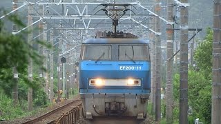 JR貨物 EF210[吹] 代走EF200-11[吹]号機＋コキ26B 貨物列車1071レ 2014/08/06