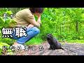 ワンニャンズのおとーちゃんが無職になってしまいました