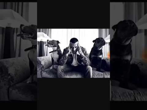 Kontra K feat. Bausa - Kreis