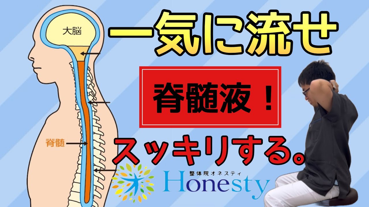 『硬膜整体　D２』：わずか５分の完全根本治療 Flush It All Out! Cerebrospinal Fluid. Improve Nerve Flow, Recover