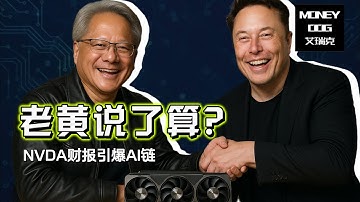 💥NVDA 财报爆表！AI 全产业链狂飙：CORZ、MP、TSLA 盘后齐拉升！这一波是真反转还是假繁荣？(2025.11.20)