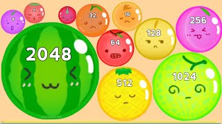 Fruit Merge 2048 🍉 | Fruit Drop & Merge Game | Watermelon Suika Game | Satisfying Gameplay screenshot 2