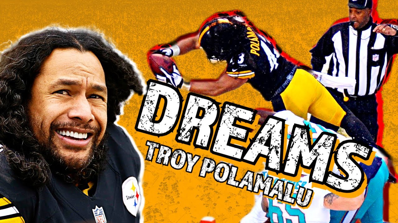 Troy Polamalu ULTIMATE Career Highlights: DREAMS