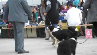 IMG_ 105.avi