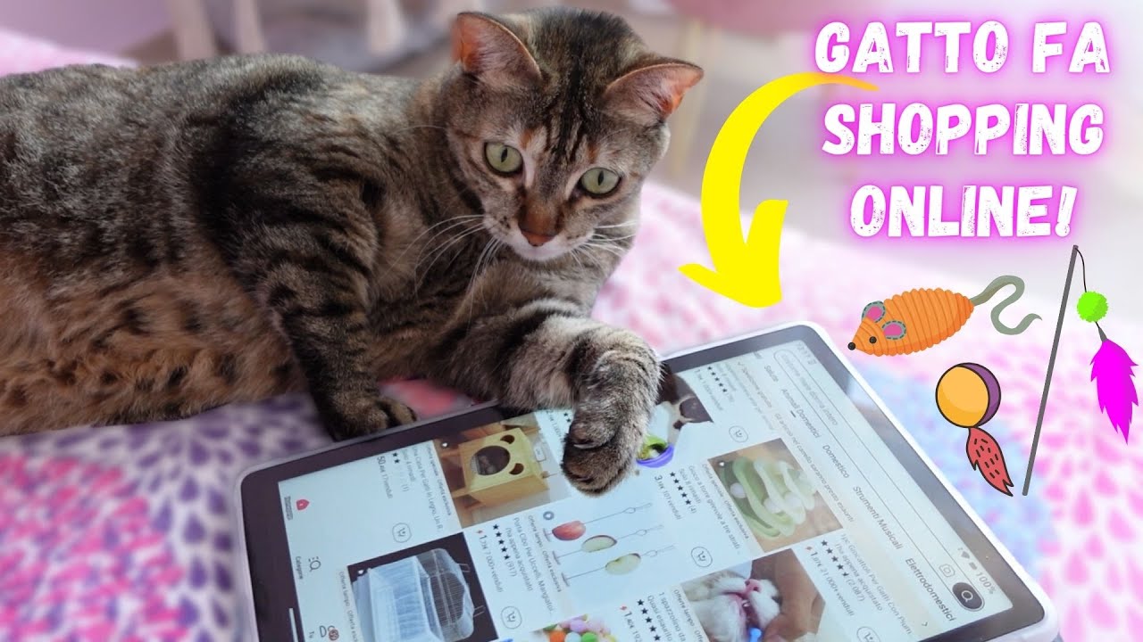 I MIEI GATTI FANNO SHOPPING SU TEMU!