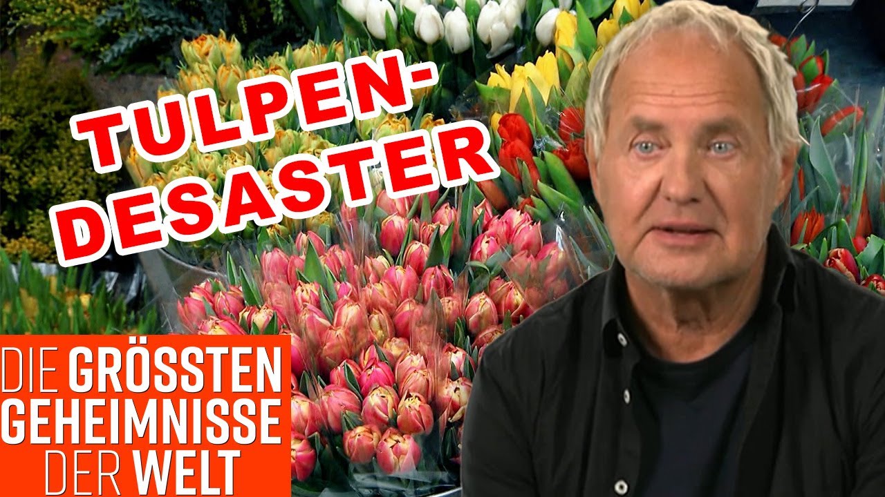 Tulpenmanie: Wie eine Blume einen Börsencrash auslöste! 🌷 | Die größten Geheimnisse | Kabel Eins