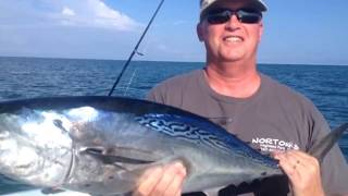 Sarasota Siesta Key Family Fishing! Sharks & Barracuda,...we're Tearin' Em Up! In Sarasota Net Worth