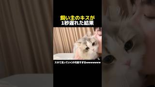 飼い主のキスが1秒遅れた結果