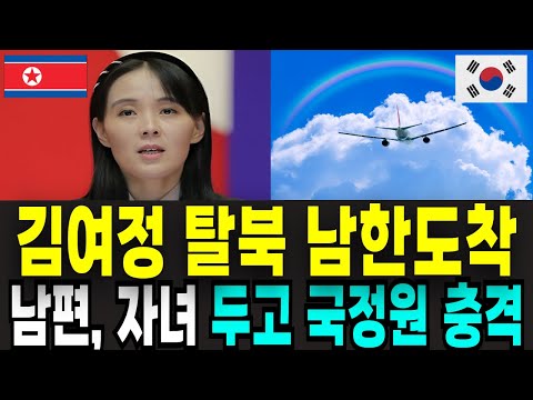 김여정 탈북, 김여정이 탄 비행기가  남한 도착.  성남 공항에 착륙한 그날의 진실.#김여정탈북#비행기조종사탈북#북한시니어북#오디오북##김정은#리설주