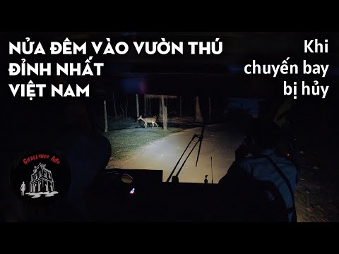 Video Nhỡ chuyến bay ở Phú Quốc và cách xử lý của Hoàng Nam - youtube