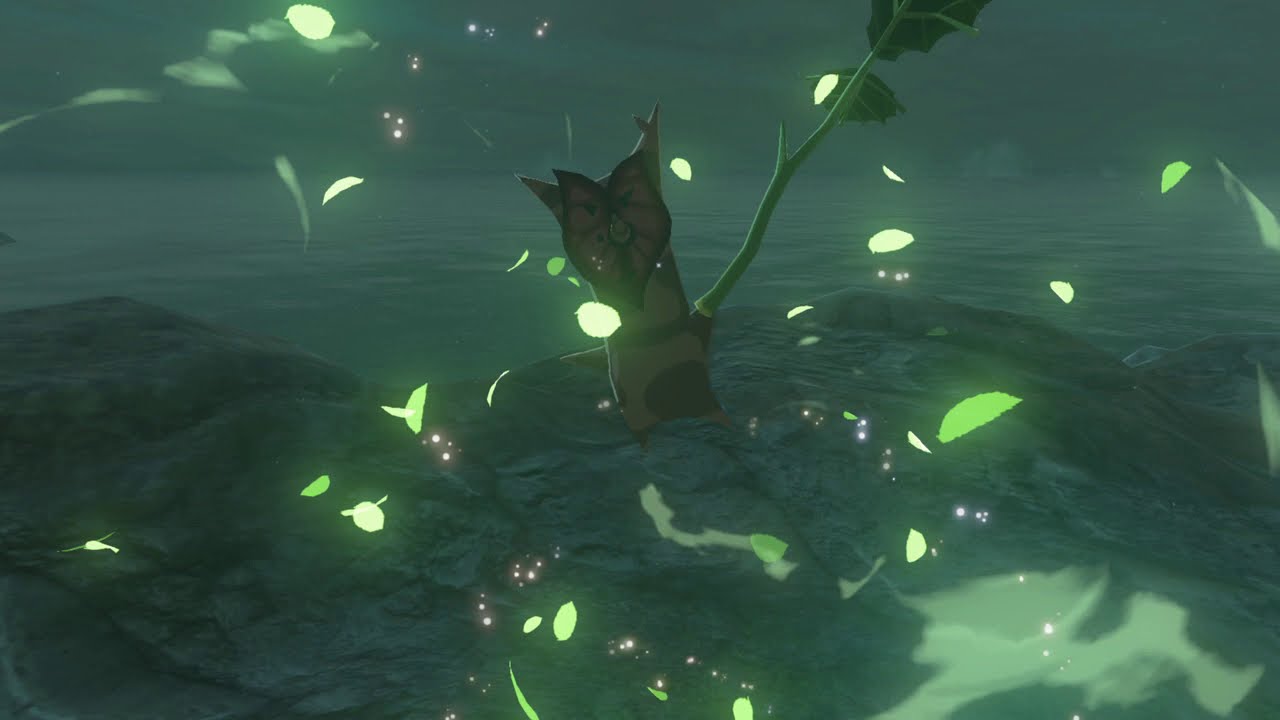 Korok seeds East of Spring of Wisdom Hateno Tower 52 Zelda BOTW YouTube