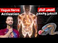 العصب الحائر Vagus Nerve جزء ٢ العلاج العملي الحقيقي وكيف يصبح السجود أقوى محف ز العصب الحائر Vagus Nerve جزء ٢ العلاج العملي الحقيقي وكيف يصبح السجود أقوى محف ز