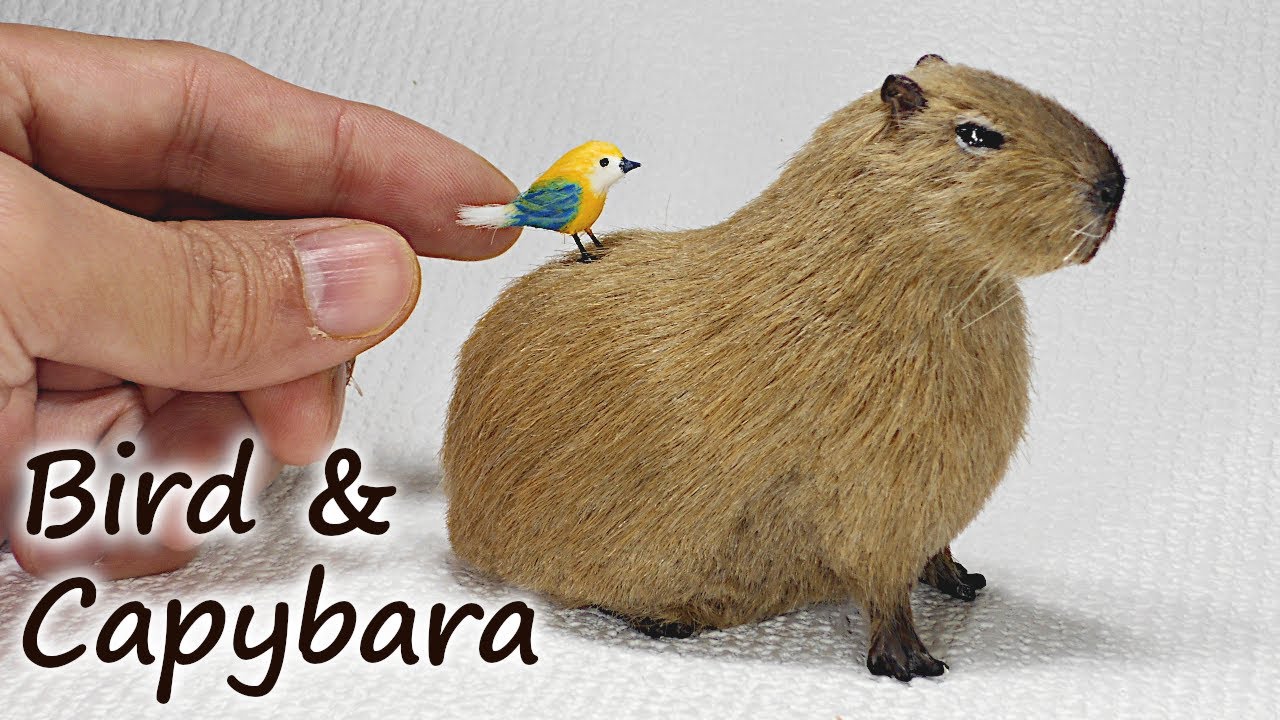 Introducing handmade capybara miniatures. Birds and capybara 