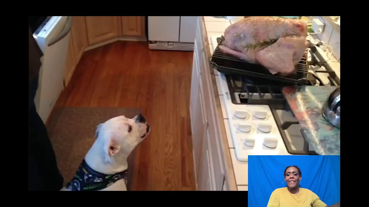 SheInspires: SheGivingDailyLive  ReactionsShow: Jerky Turkeys| Thanksgiving Fails