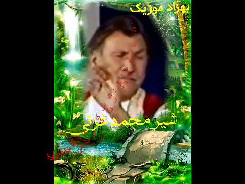 شیر غزنی بشنو ناله افغان مرا