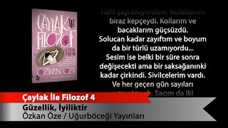 Çaylak İle Filozof 4