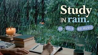 4 HOUR STUDY WITH ME 🌧️ Study In A Treehouse On A Rainy Morning 🌿🦔 / 30-5 / Rain Sounds / No Music
