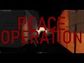 Peace operation realistic hood testing