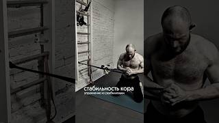 шикарное упражнение для стабильности кора из реабилитации