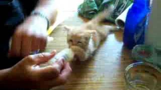 Feeding TIme