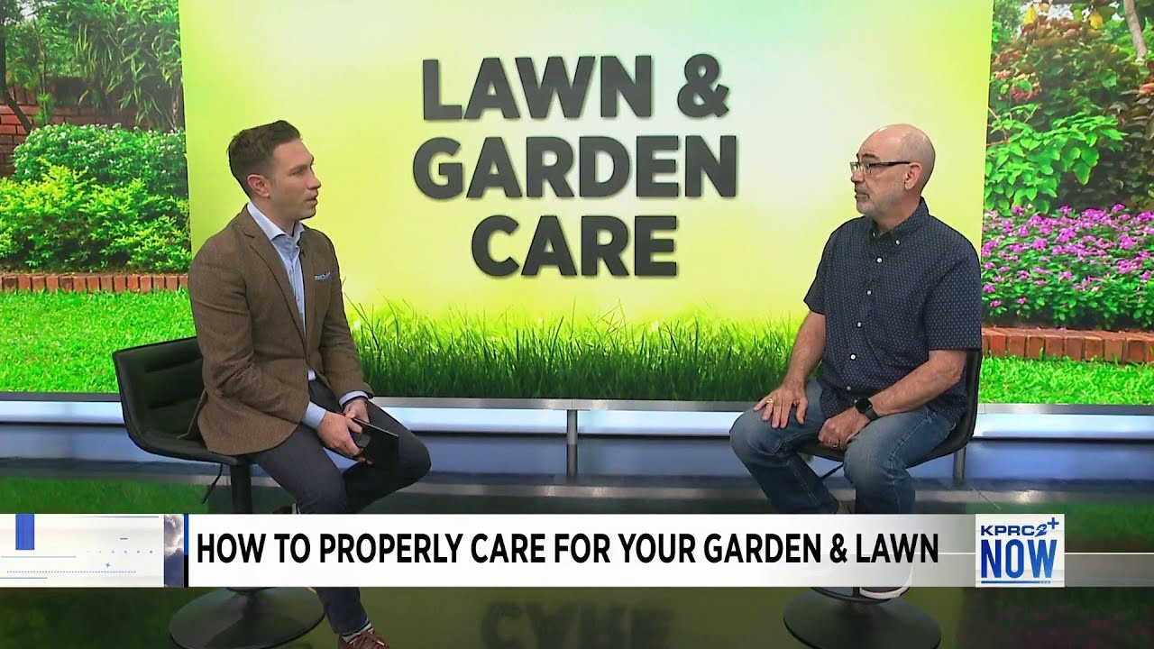 How to properly take care for your garden and lawn