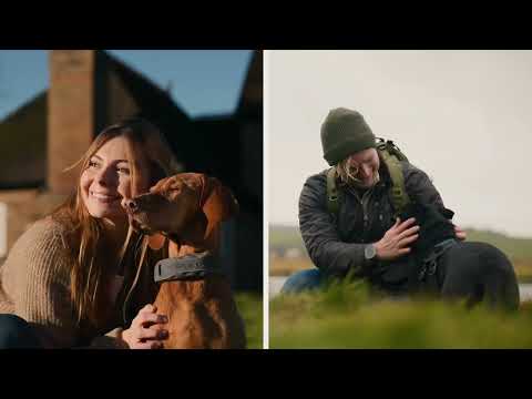 SATELLAI Smart Pet Collar