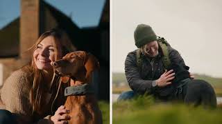 SATELLAI Collar | Satellite Tracking Meets AI Insights to Keep Your Dog Safe