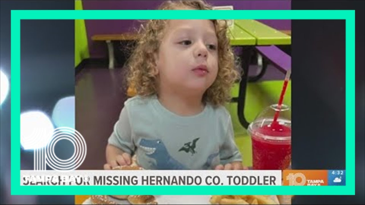 Fog could be factor in ongoing search for missing Hernando County toddler