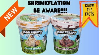 Ben & Jerry’s Sundae Ice Cream: Turtle Sundae & Choco-lotta Cheesecake Review