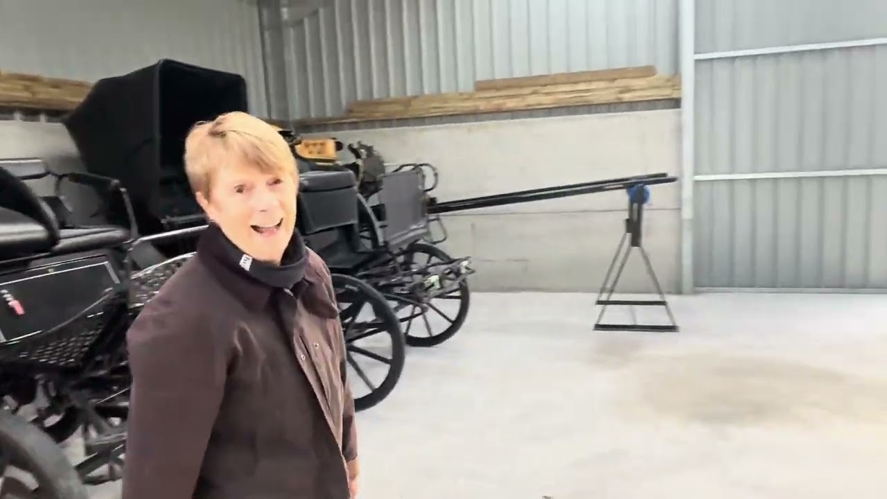 Ренске отправляется на прогулку перед вечеринкой | Энн увлеклась – НЕ своими каретами!