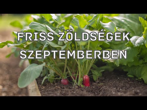 Videó: Árnyéktűrő zöldségek – Zöldségtermesztés árnyékos kertben