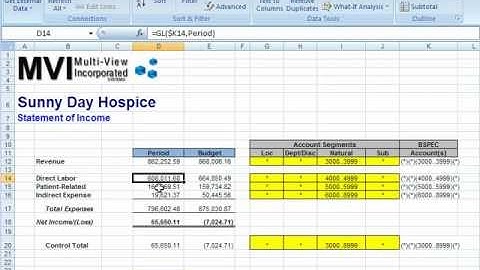 Hospice Accounting & Reporting F9: #10 Drill-Down Function