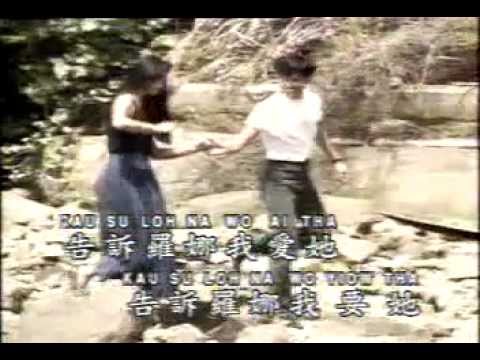 刘文正 原声原唱KV29 告诉罗娜我爱她.flv